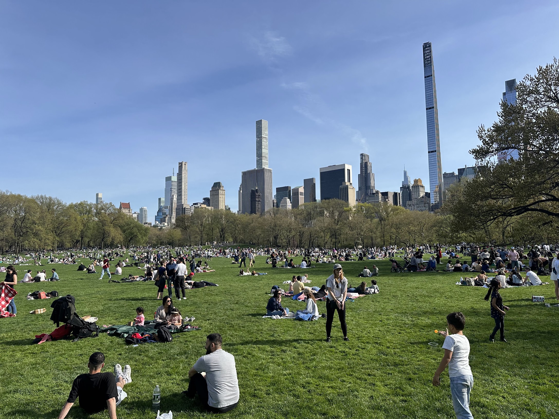 Central Park sunny day