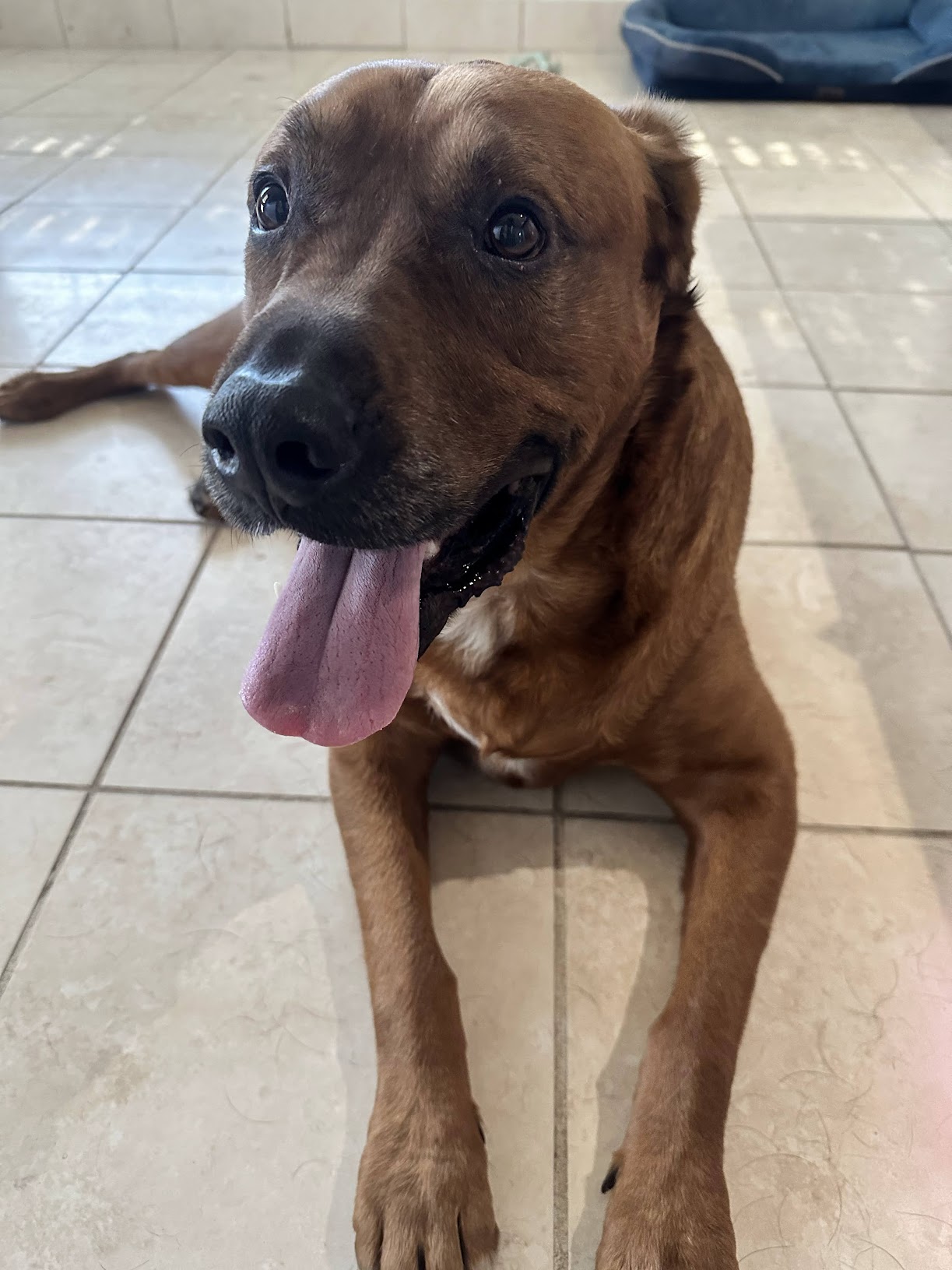 Copper