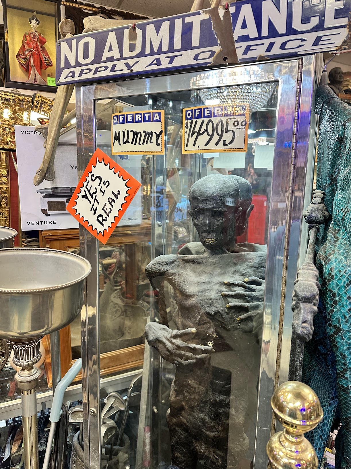 Mummy for sale